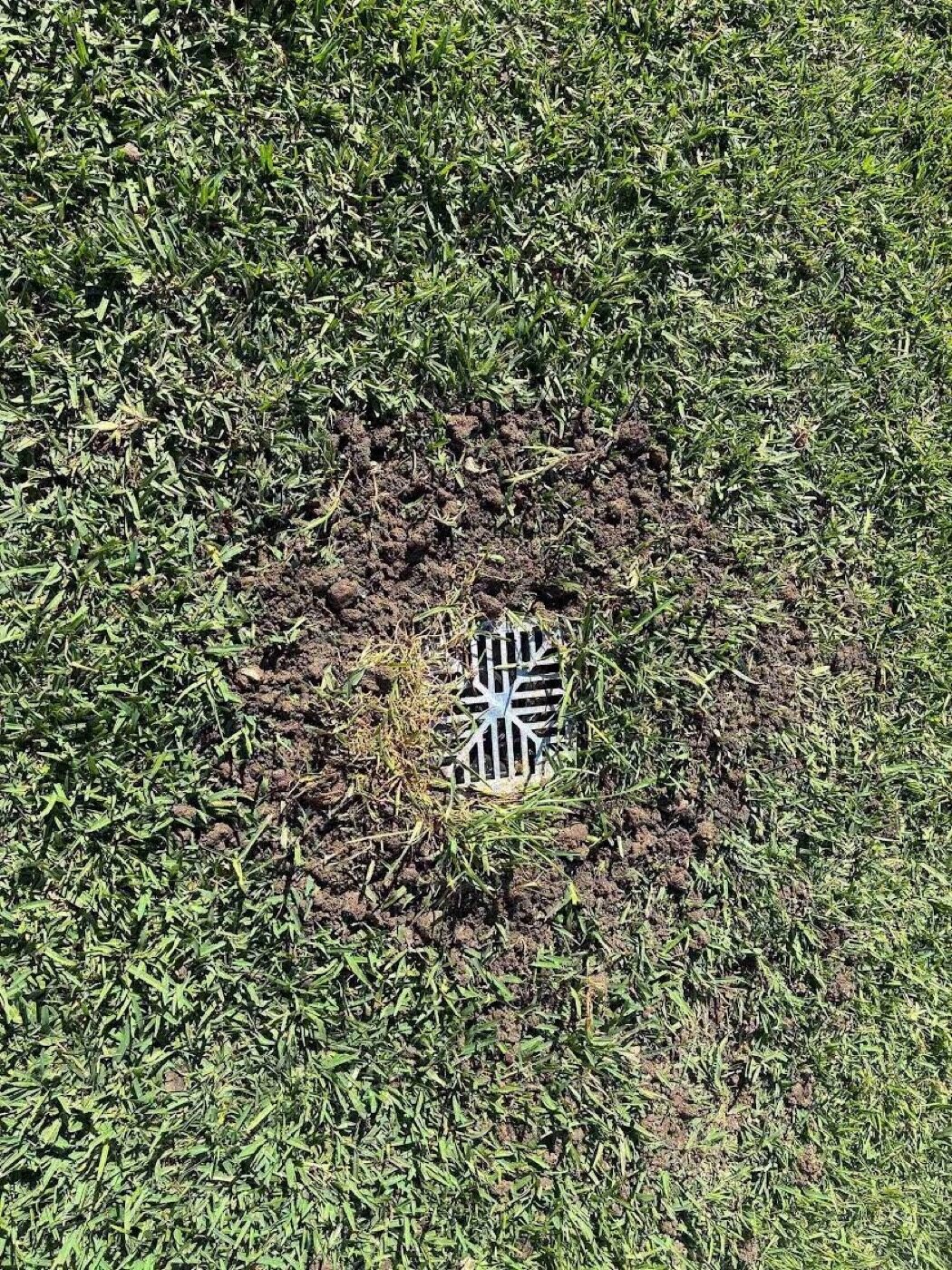 The single stormwater drain grate that was installed, set in disturbed soil in the lawn